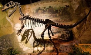 balaurul bondoc o noua specie de dinozaur descoperita pe teritoriul Romaniei